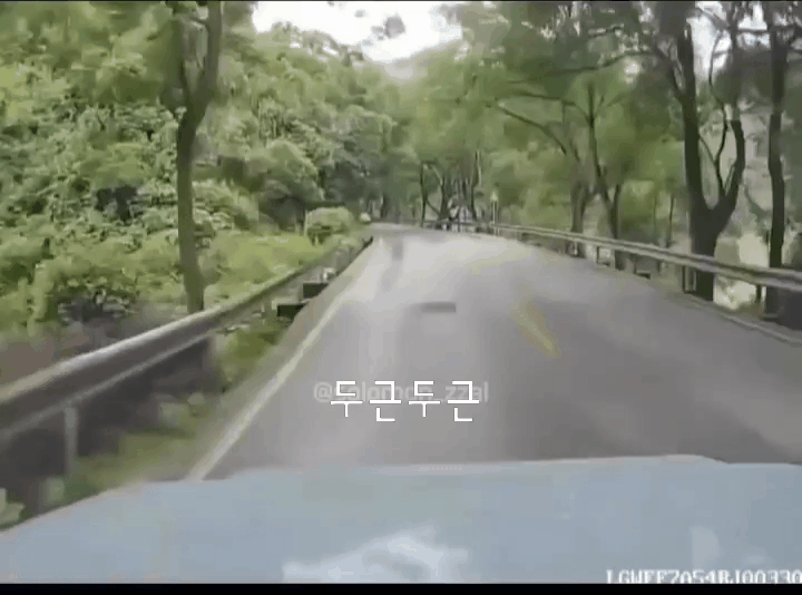 1b4eaa49fae24774ca9cd62e3a414d2d_1731056425_4364.gif