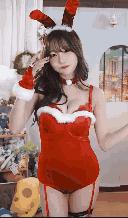 레드벨벳 산타 바니걸 + 망사스타킹 수련수련 - 제로투